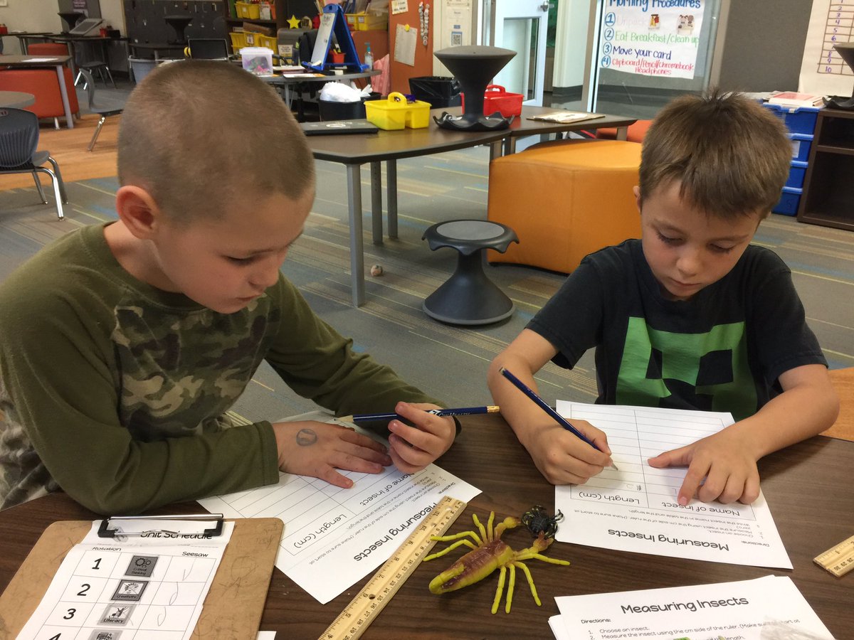 SPSFalcons1's tweet photo. Measuring insects is so much fun with these jumbo insects from the Mo Dept of Conservation tubs! #spslearning @MsCastillosMath @TeamMeyerSPS https://t.co/NNQh23Z4TT