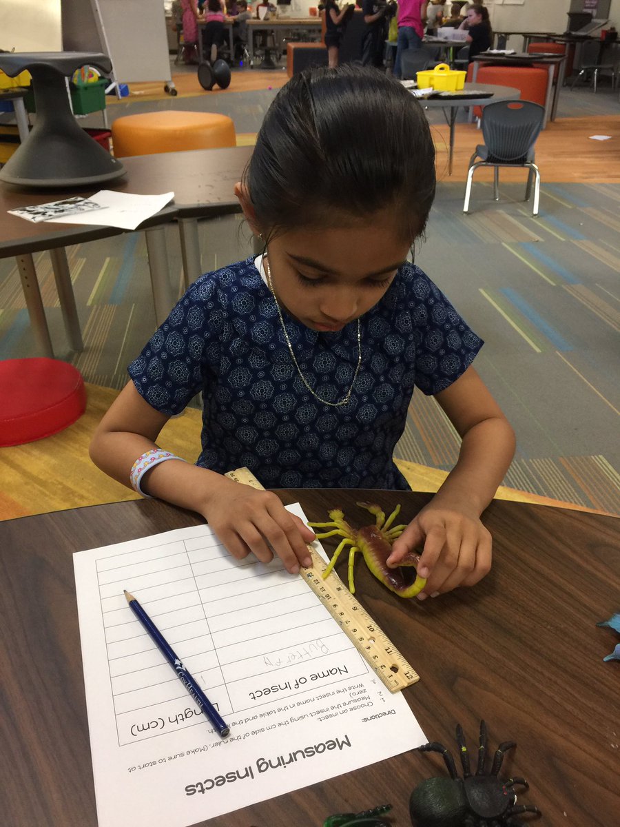 SPSFalcons1's tweet photo. Measuring insects is so much fun with these jumbo insects from the Mo Dept of Conservation tubs! #spslearning @MsCastillosMath @TeamMeyerSPS https://t.co/NNQh23Z4TT