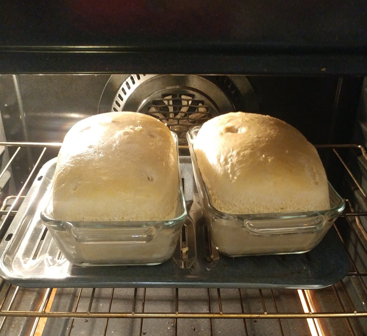 creativekitsune's tweet photo. It has risen, indeed... 🍞  #AtheistEaster #HappyEaster https://t.co/H7IJmFVEXW