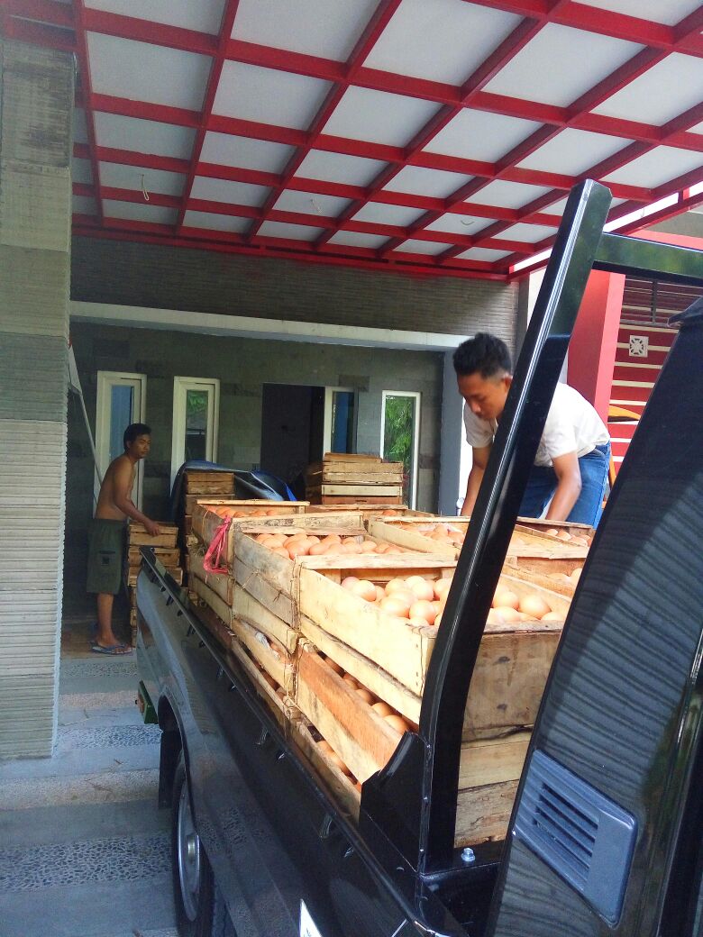 RumahPangan's tweet photo. Telur baru datang, untuk order silakan DM. #kabarpemalang #comal #sidokare #sembako https://t.co/0WX5krZpAF