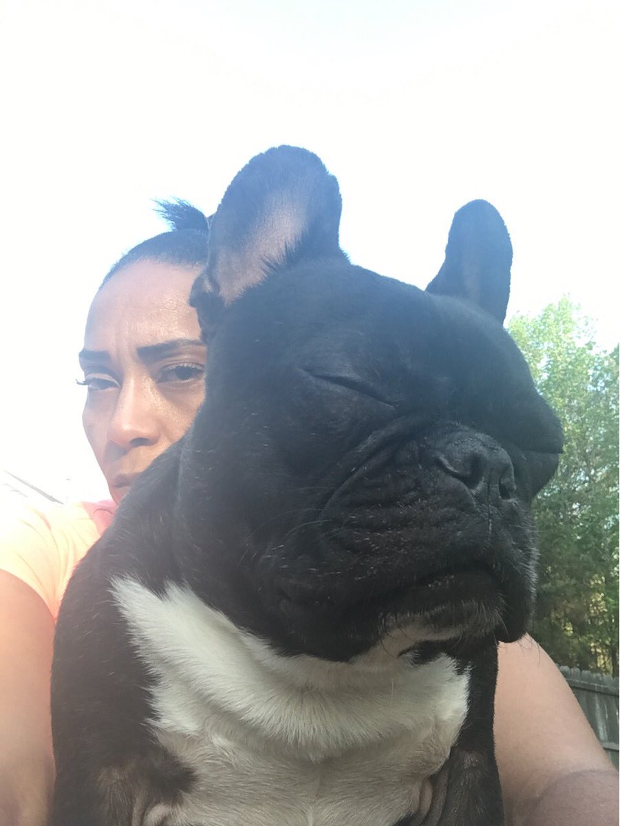 MsNERO's tweet photo. I thought taking him outside would be fun.... guess not #sleepsitting https://t.co/ntHb98mIwL