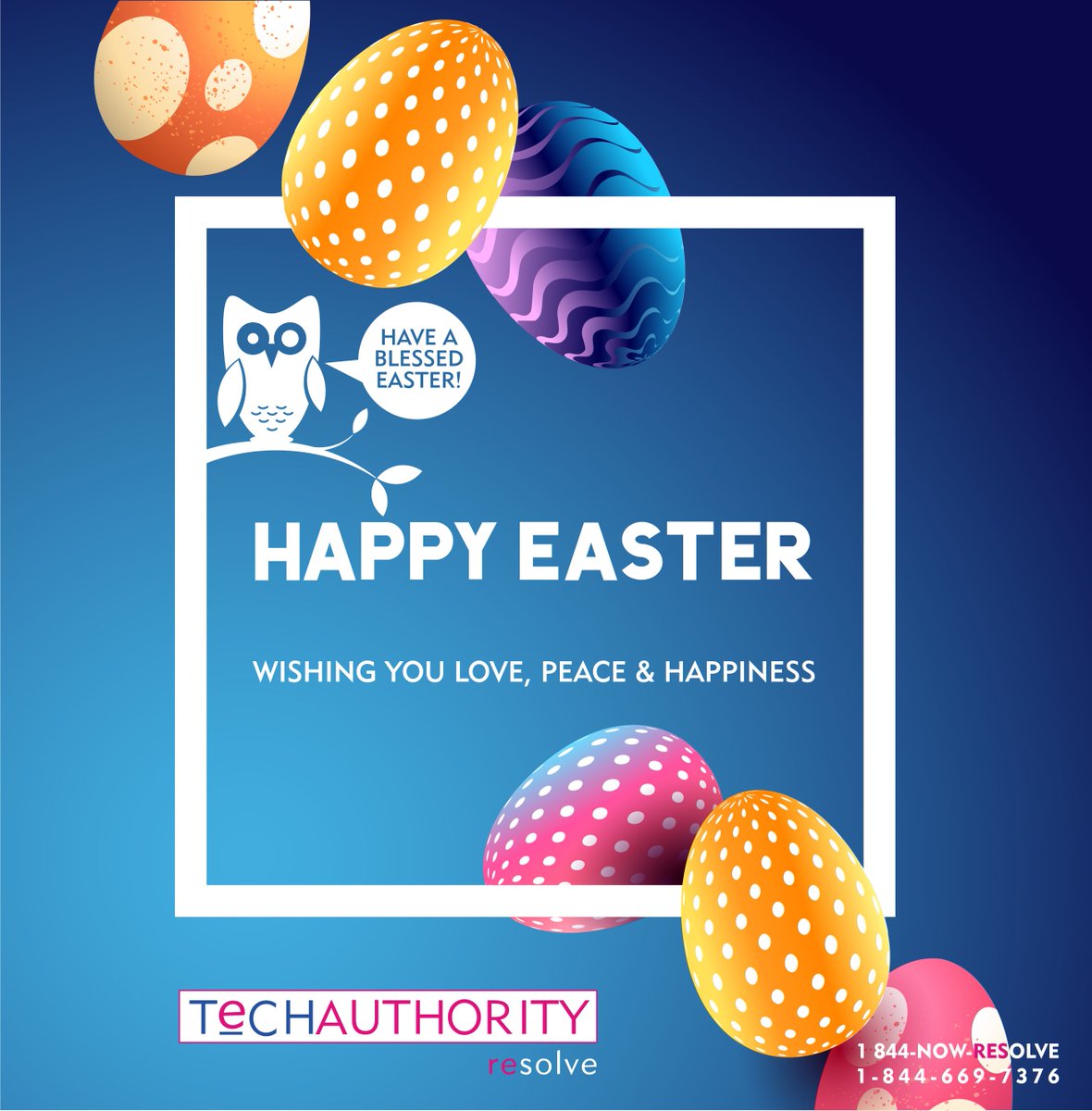 TheTechAuthority tweet media