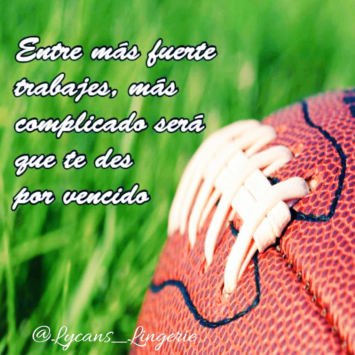 Lycans_Lingerie's tweet photo. Fuerza πͺ #OrgulloLycans π€ππΊ https://t.co/68oFlTBmnG