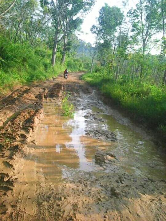 <a href="/infocianjur/">INFO CIANJUR</a>  ni cianjur JAGO (Jalan Goreng)  kecamatan cibinong pananggapan,  tolng pak bupati perhtikan ini