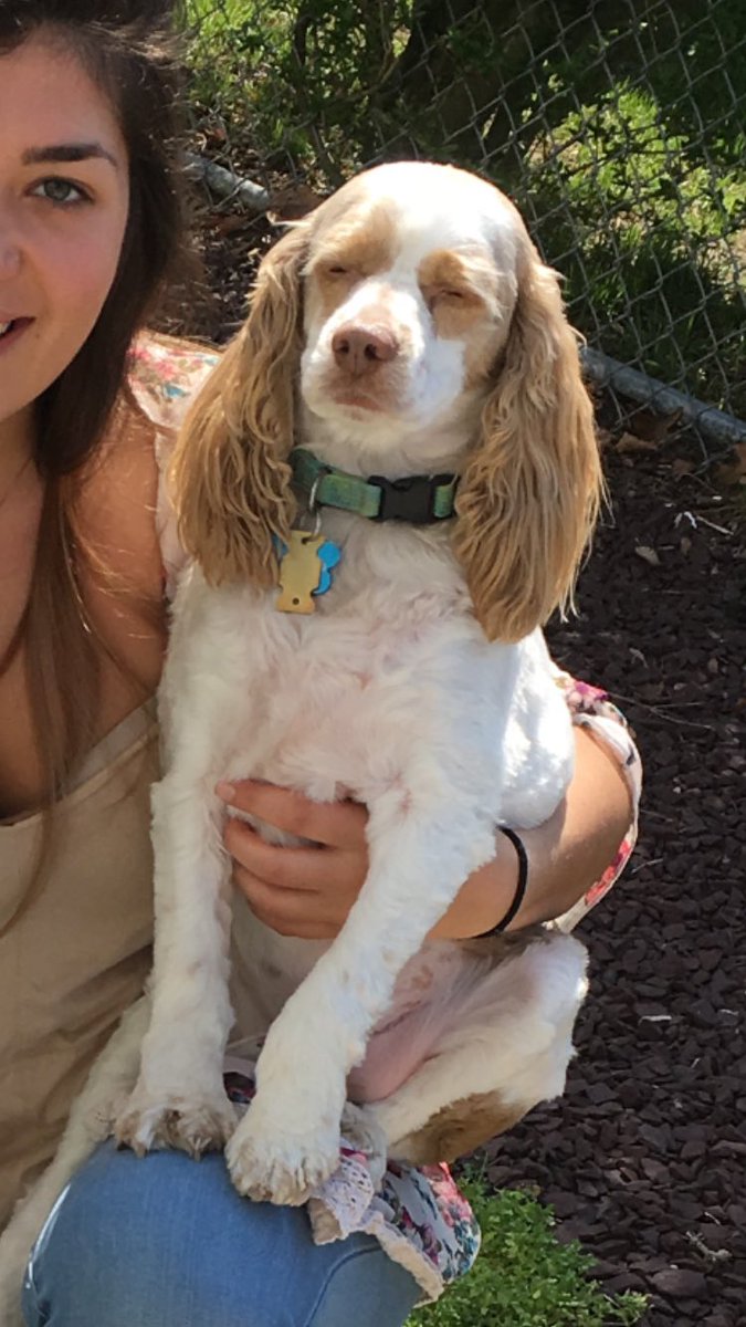 jayquellynn's tweet photo. lmk who drugged my dog #hedeservesameme https://t.co/uwoJ7nbkDA