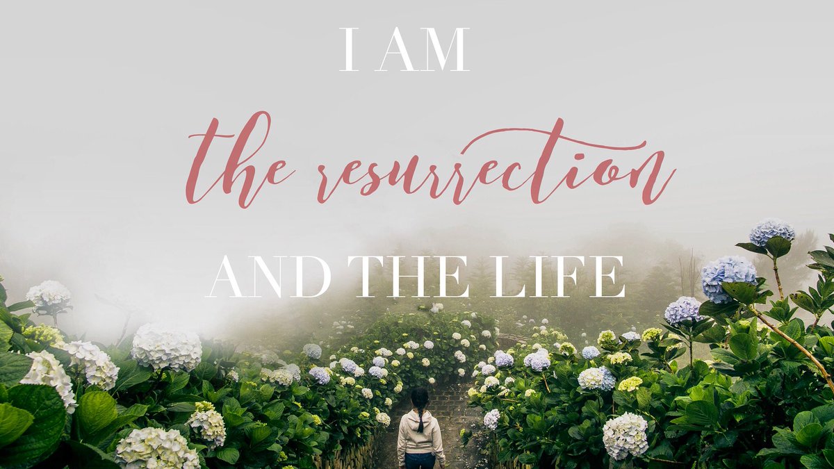 Rooted_Chicago's tweet image. Rise and walk in His resurrection. #HeIsRisen #eastersunday