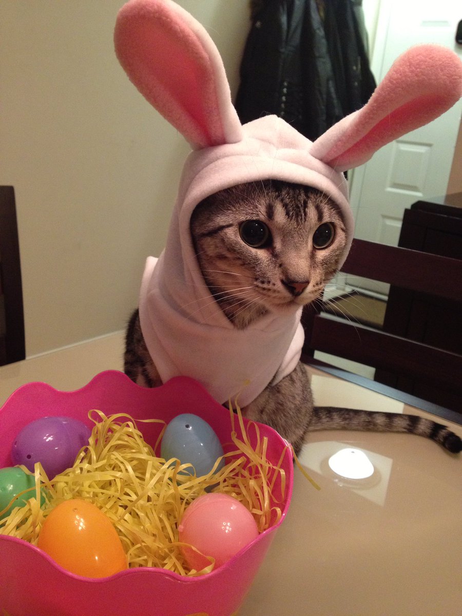 PhillyChic5's tweet image. Aww throwback!!  youtu.be/a5snV3HT674