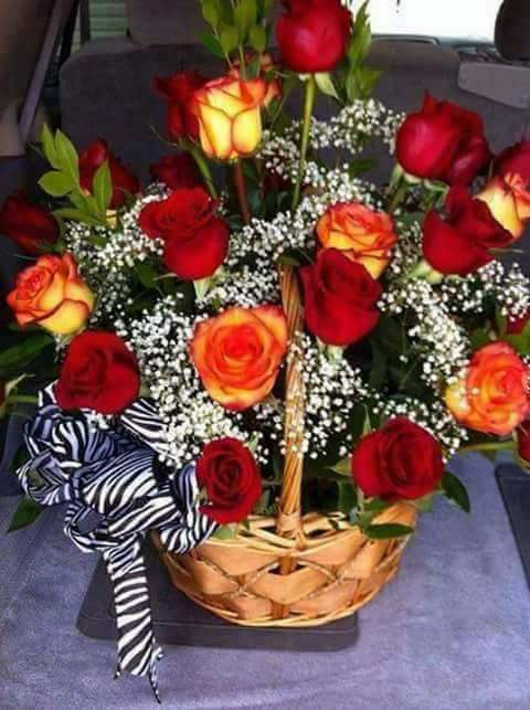 u_mirella's tweet photo. @julietarepetto @NormaBeatrizS20 @alejandrator2 @mariadelros26 @reutsfools @DisturbiaTop @fachatucu @tony04830673 @dies3101  https://t.co/Mgfwg3S4KQ