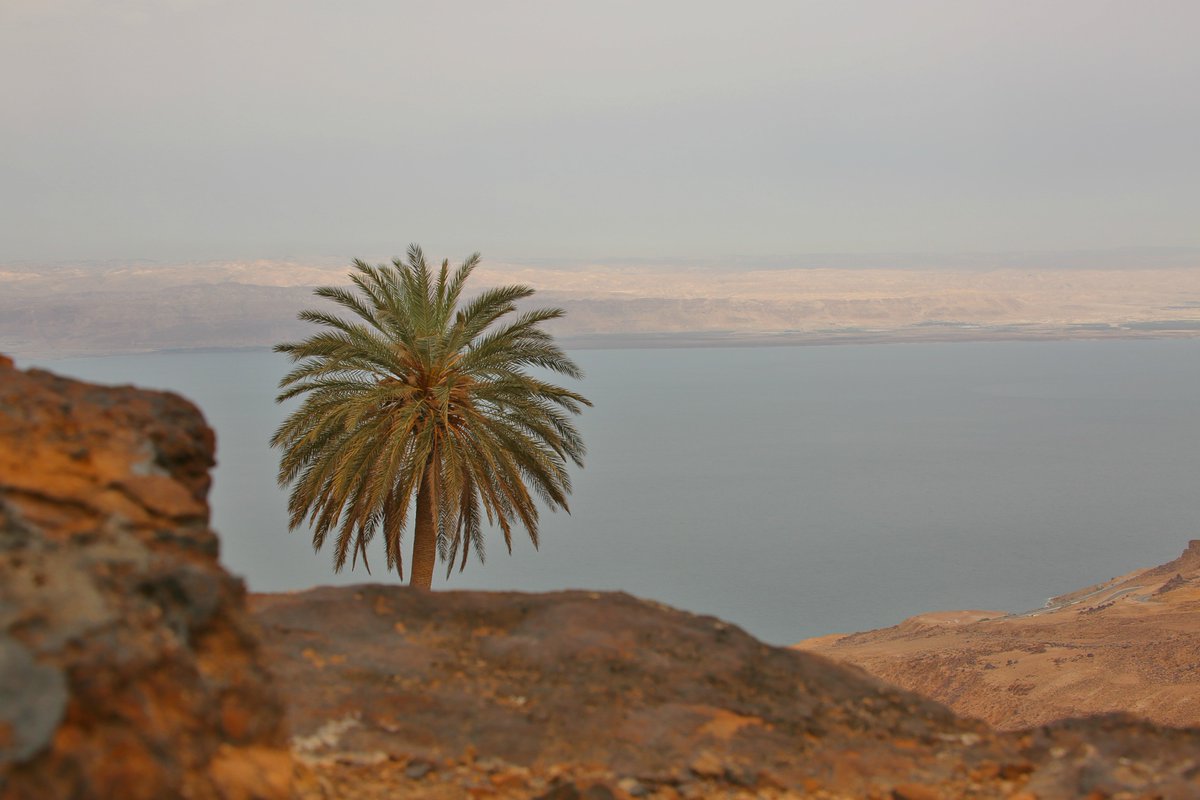 MohammadAsfour's tweet photo. The #DeaSea region in Jordan has much to offer; especially to those seeking adventure tourism! #visitjo #EmbraceJordan https://t.co/k3QDgcSOWi