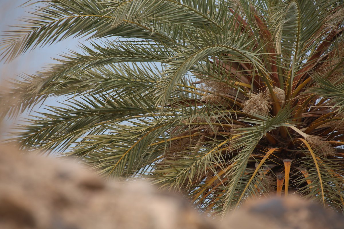 MohammadAsfour's tweet photo. The #DeaSea region in Jordan has much to offer; especially to those seeking adventure tourism! #visitjo #EmbraceJordan https://t.co/k3QDgcSOWi