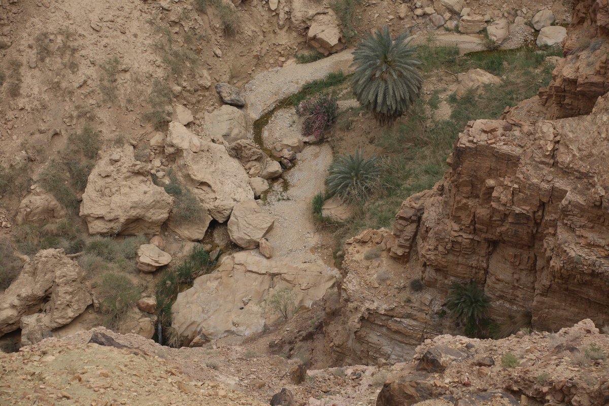 MohammadAsfour's tweet photo. The #DeaSea region in Jordan has much to offer; especially to those seeking adventure tourism! #visitjo #EmbraceJordan https://t.co/k3QDgcSOWi