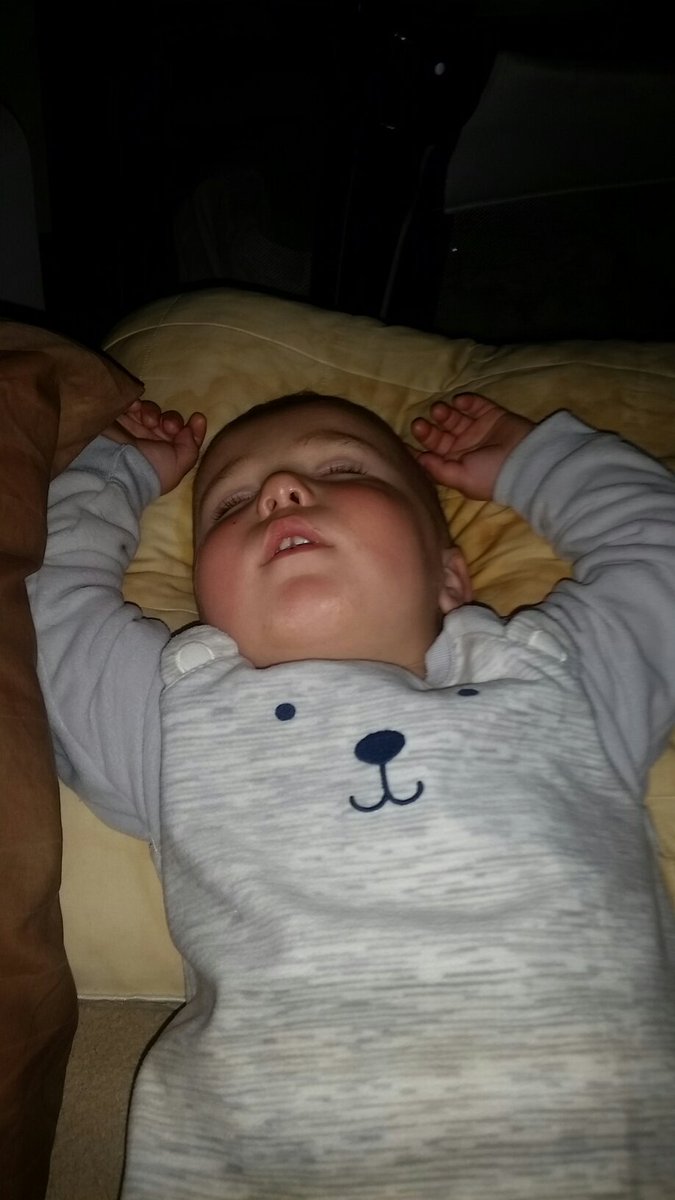 bigluke75's tweet photo. As his faja for over a year now, ive never seen this boy as tired as he was tonight. Sleep tight cute little beaver toofed boy. https://t.co/M2iuKhIZU4