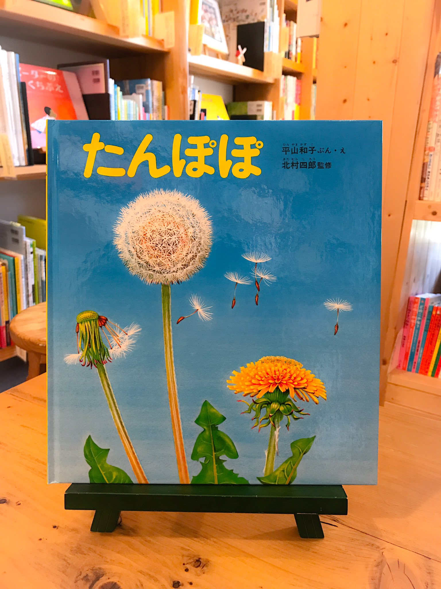 توییتر きんだあらんど 絵本屋 در توییتر たんぽぽ 文 絵 平山和子 花茎と葉っぱはピンと背筋を伸ばし グングン根を張ります 黄色の頭花は太陽を見上げ いつの時代も臆する事なく咲き誇ります ガンバレたんぽぽ 絵本 を読まれた後に 色々なたんぽぽを