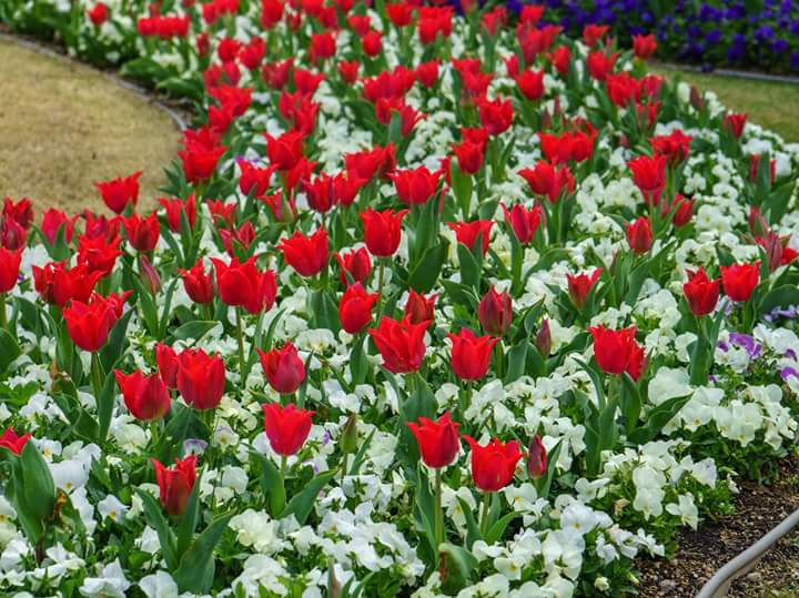 C9lho_QWsAAylqC.jpg:large