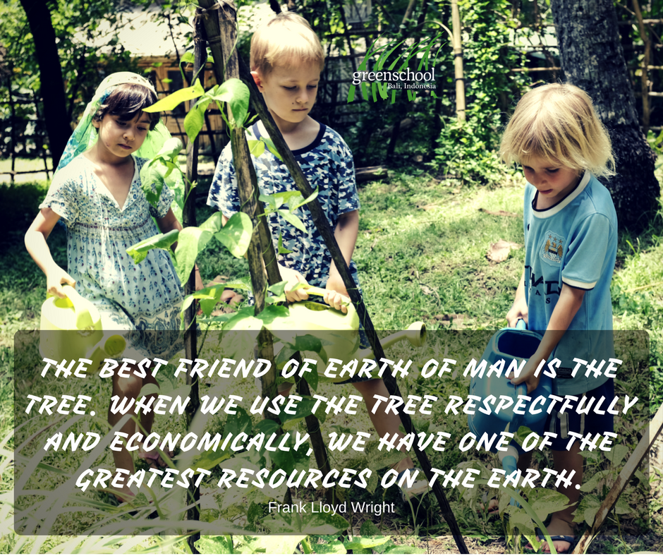AllGreenSchools's tweet photo. We respect our tree!

#motivationalquote #motivationmonday #mondaymotivation #protecttree #environmentalcurriculum #earlyyears #greenschool https://t.co/GhGCEkfJLL