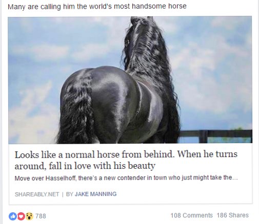 SecretAgentCee's tweet photo. @danisnotonfire @AmazingPhil so this popped up on my feed today...
#myhorseprince #danandphilgames #danandphil https://t.co/zshn6NJvkN