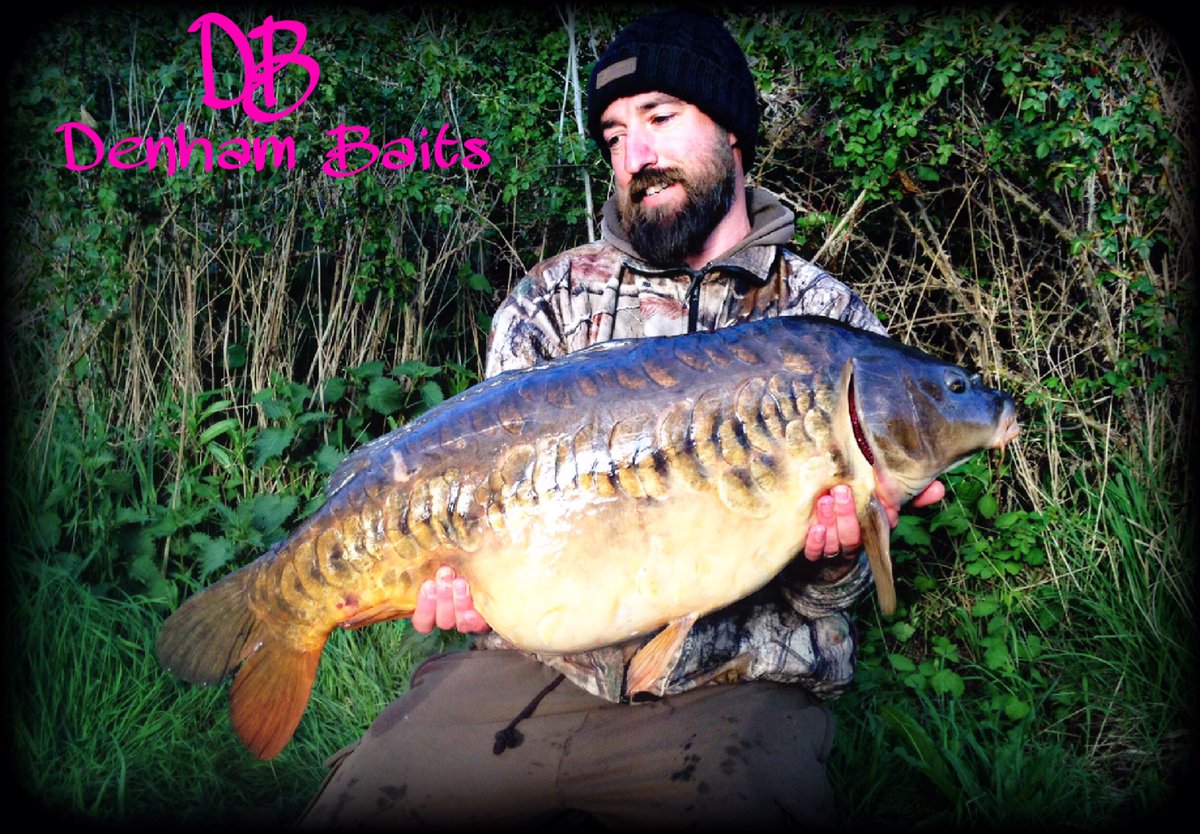 FlattD82's tweet photo. Very frustrating session after losing 2 managed to land one,a recapture of the Lin I had last year slightly heavier @ 37.4 #DenhamBaits https://t.co/GOfplCiP6b