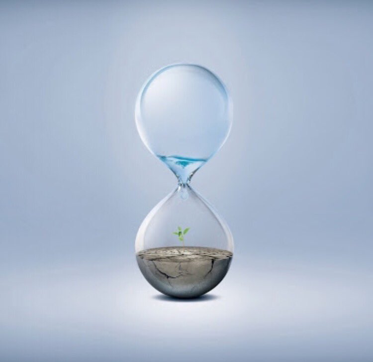 CyberTranscrip's tweet image. Time is precious, why waste it? Outsource your audio transcription needs to us! Professional transcriptions from audio recordings. Simple.