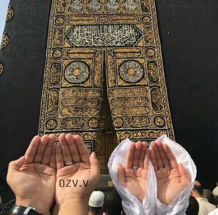 ozvv_'s tweet photo. العام ندعي : عسى ربي يجعلنا من نصيب بعض،
واليوم ندعي : عسى ربي لا يفرقنا🙌🏻💛! https://t.co/JZ9NhBNUQX