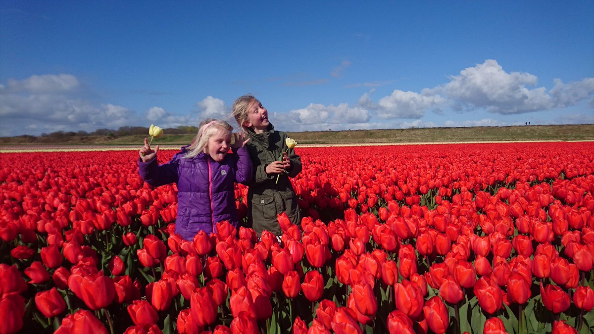 SalmFlora's tweet photo. Gek met tulpen! https://t.co/U6os2iutnJ