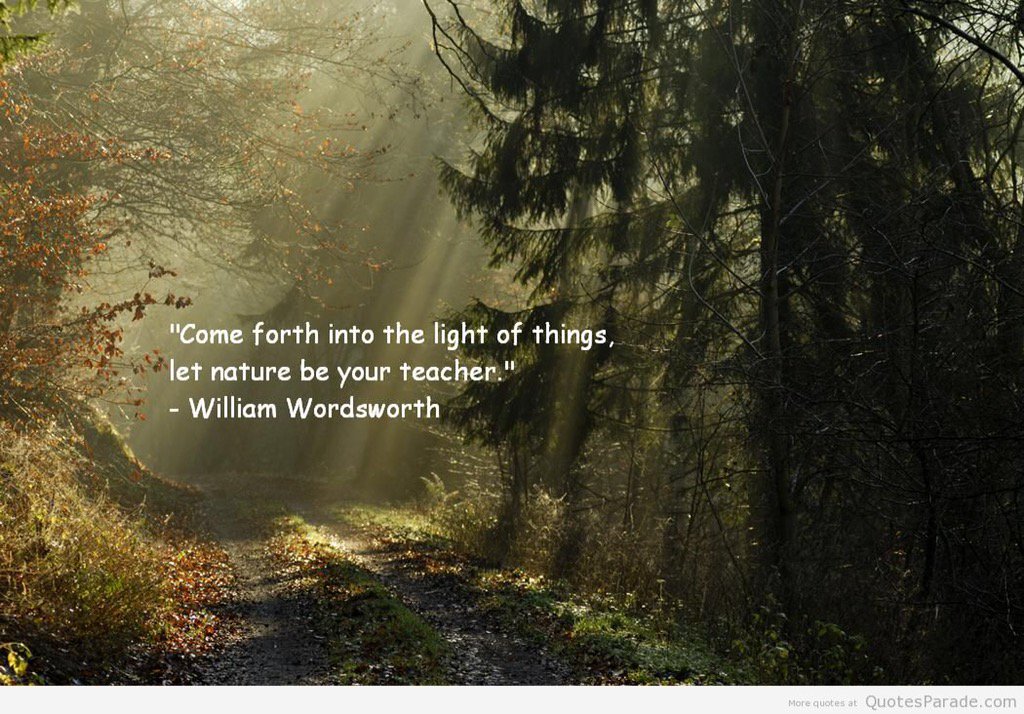 RT if YOU want humanity to, once again, find harmony with nature.
Together YOU CAN heal the world❤️🌍 #hope #health 😄