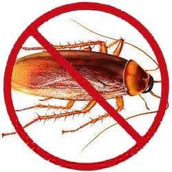 MourierPest's tweet photo. We cannot ignore the troubles creates by cockroaches especially within the household.call@9999787571 https://t.co/V3EuH4RIAs https://t.co/rPN22UWFbb
