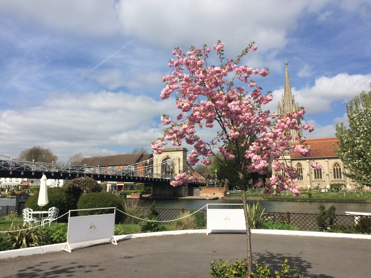 Mac Compleat Angler tweet media