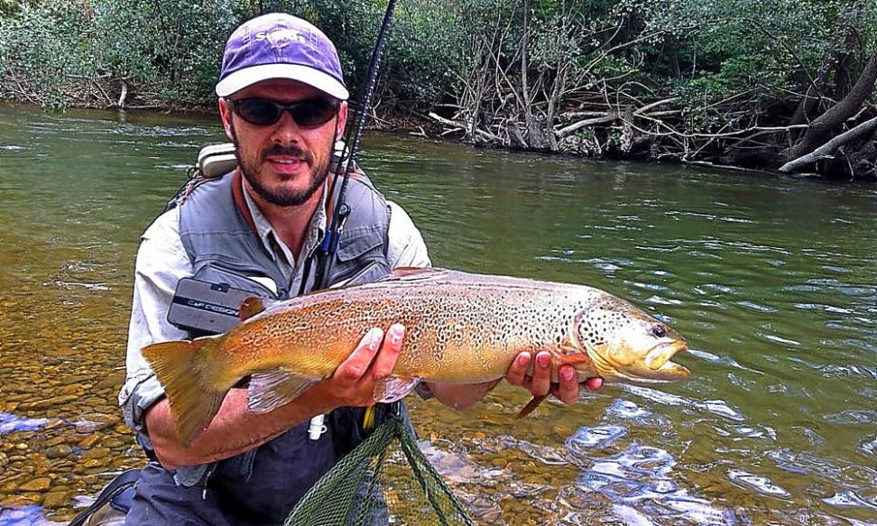 LukrisSL's tweet photo. La Semana de la Trucha ya tiene fechas https://t.co/hkKcwCbGHk #pescadetrucha #pescadeportiva #pesca #fishing #cucharillasmapso #mapsolures https://t.co/JNlhaaI0E9