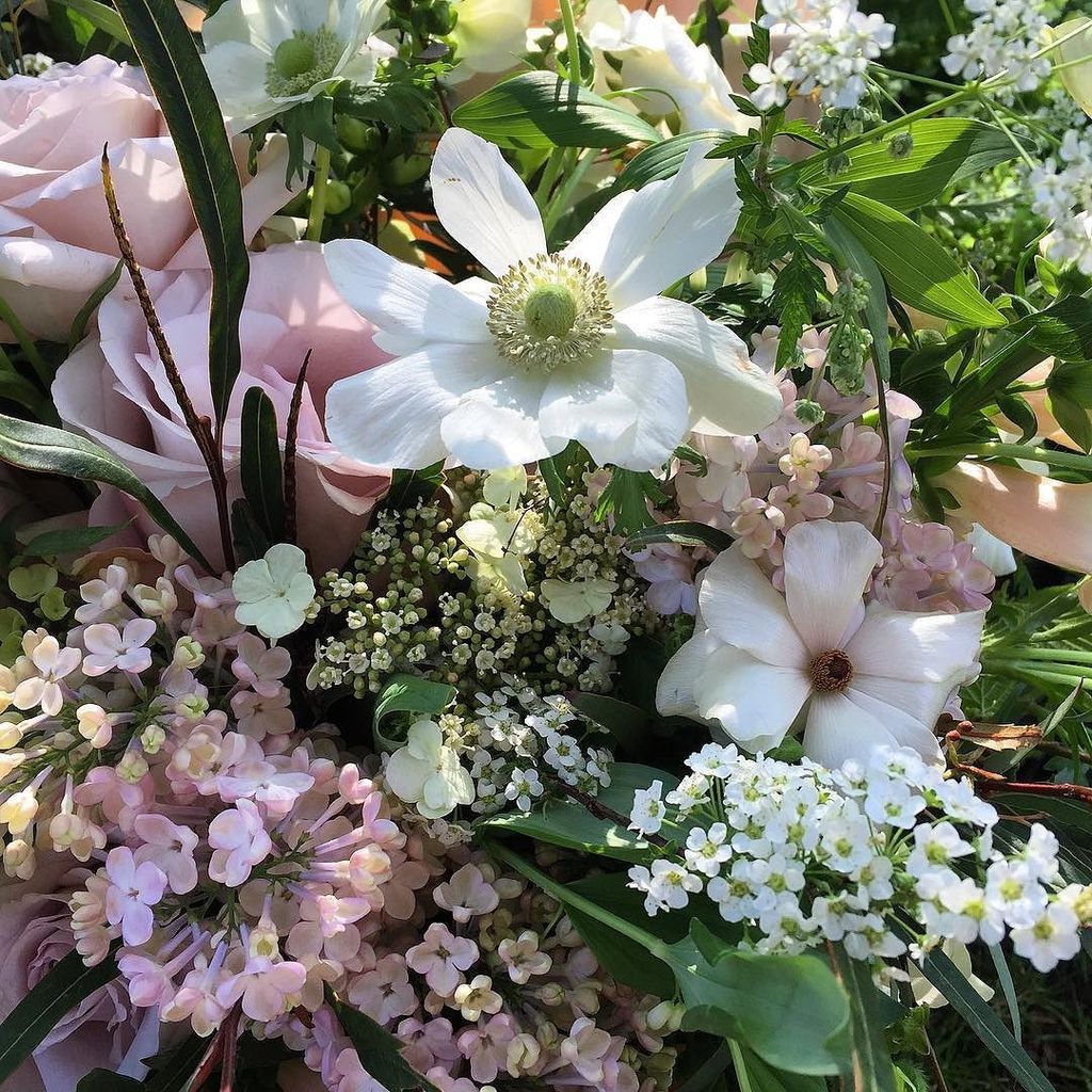 theflowerbird's tweet photo. Gentle flowers to sooth the soul #happyeaster #easter #anemone #lilac #butterflyranunculus #softpinkflowers #south… https://t.co/EUxJeHAHGs https://t.co/4YmM2PHj8c