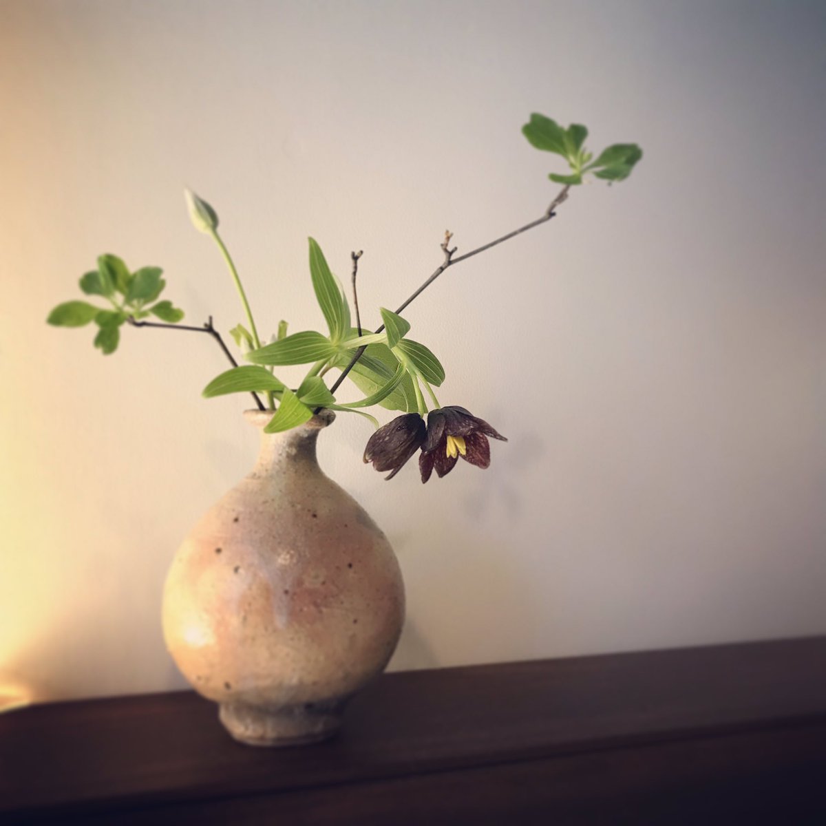 amicaflower's tweet photo. 今日は京都町家へ花生けに。素材は初夏の気配。
#amicaflowers #flower #kyoto #kyotostyle #japanstyle #ikebana #yuitsujimura #京都 #いけばな #生け花 #辻村唯 #黒百合 #ドウダンツツジ #テッセン https://t.co/kVRSqHYvad