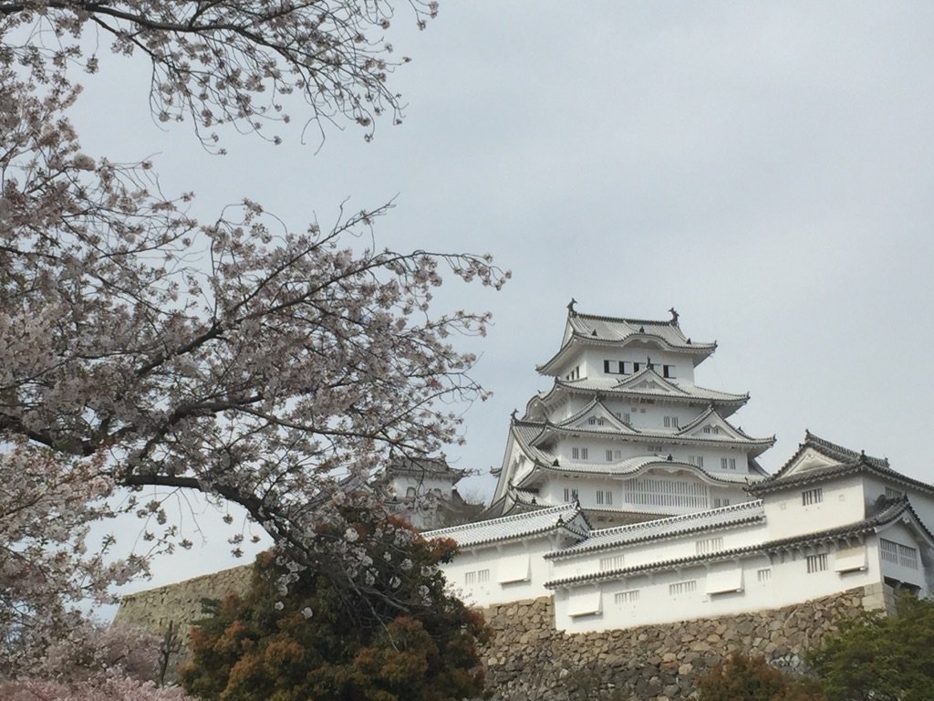 junichiando0901 tweet picture