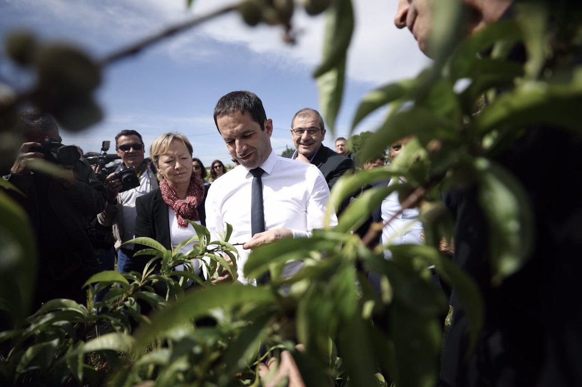 NaimaCharai's tweet photo. .@benoithamon ce matin dans le Lot-et-Garonne à Feugarolles où il visite une exploitation maraîchère familiale axée sur le bio #coeurbattant https://t.co/4CyhZLzKQk