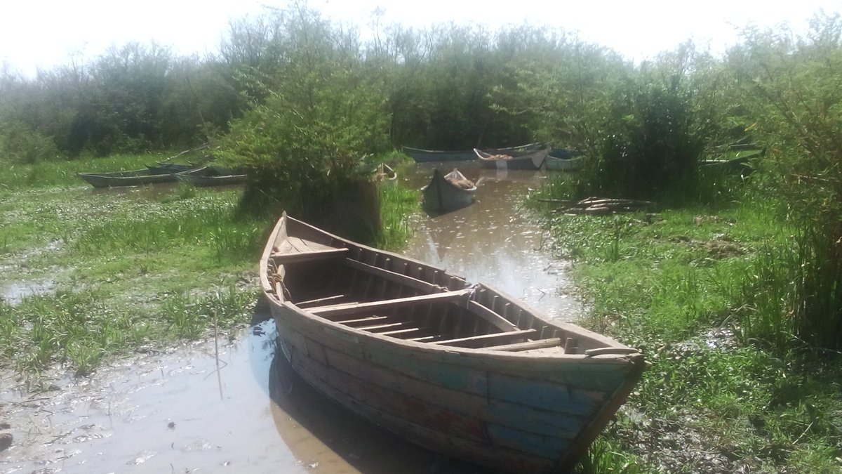 David_M_Mudola's tweet photo. @ItsNaamfest Shores of L. Victoria here at #Kobala boats engulfed... No more fishing and transportation https://t.co/w49FneDLc5