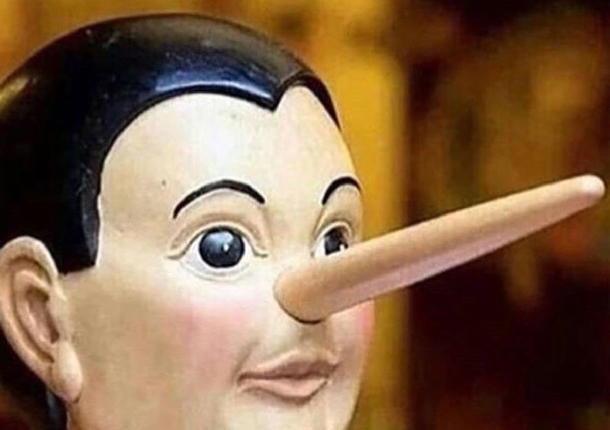 Liv 🌲 tweet media