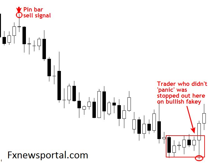 forexsingnals's tweet photo. Weaker #Dollar +Milk #supply was lower so higher the #prices of #milkfirst . Some #appreciation for #NZD https://t.co/1inE4V7zfS