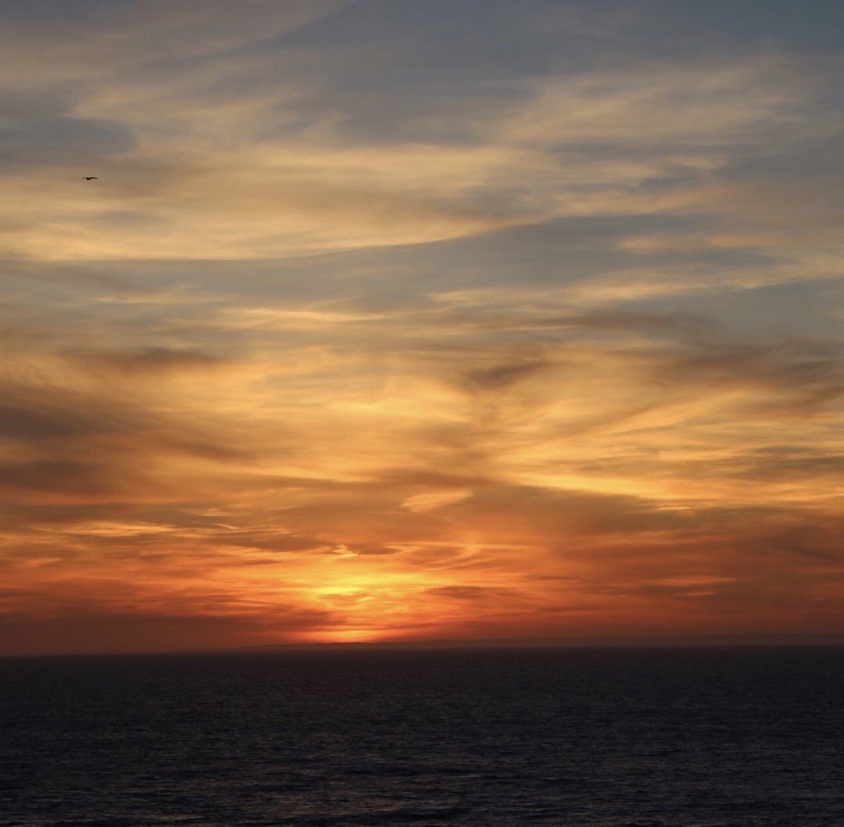 Volvo Cars Sailing tweet media