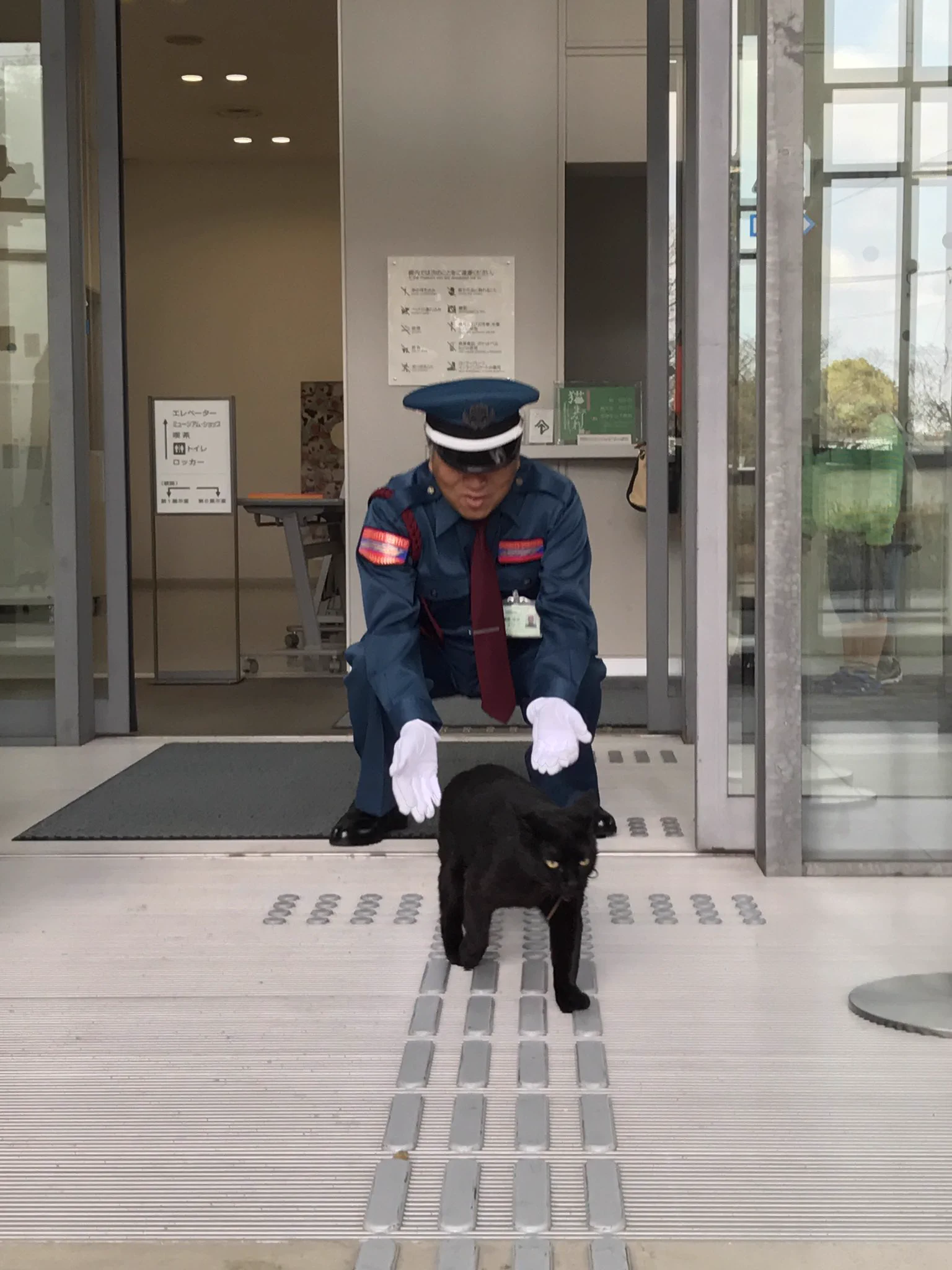尾道市立美術館、ついに「猫と警備員の攻防」トート発売！！