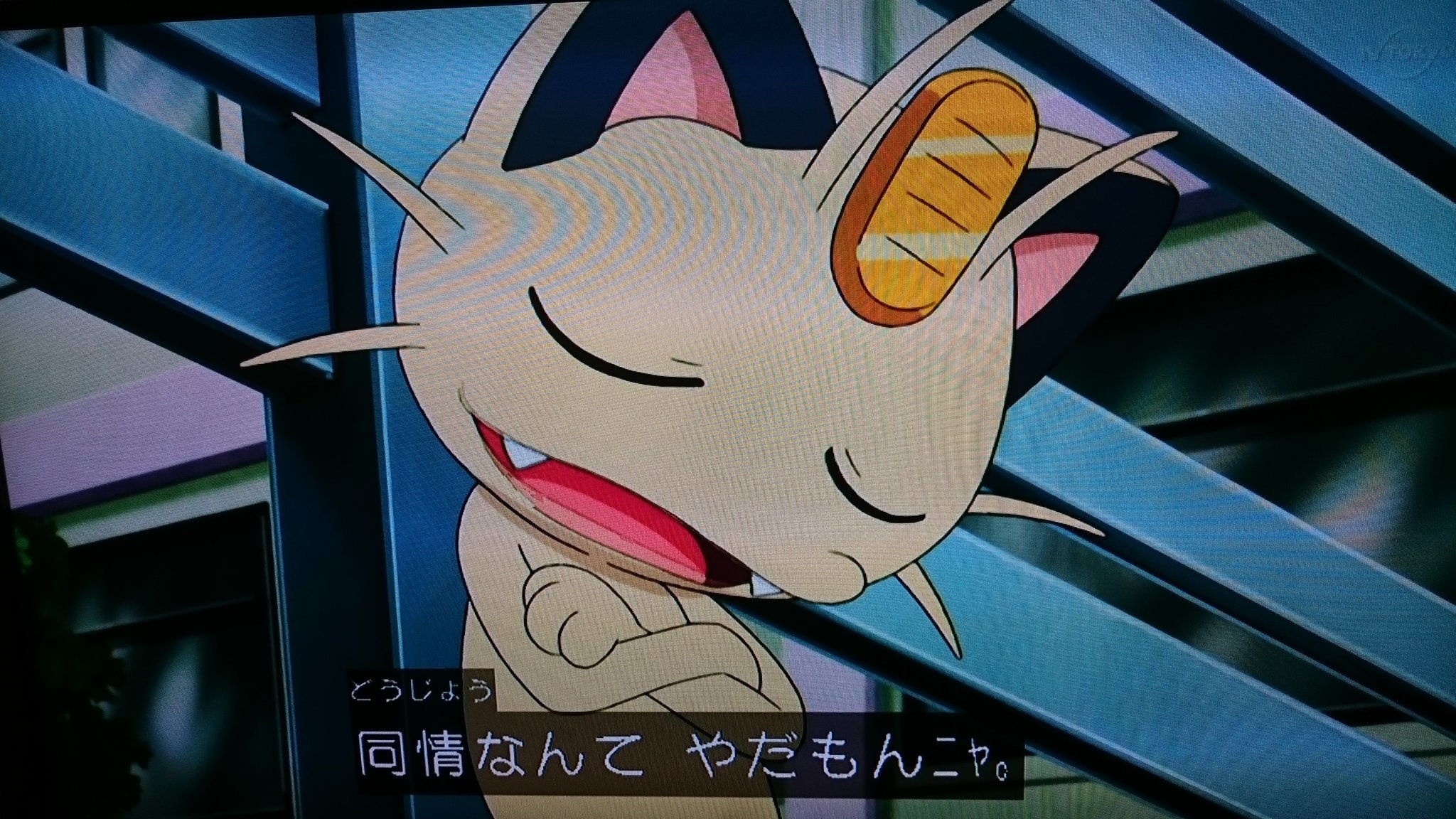 めさ アニポケ 感想 ニャビー 旅立ちの時 この話は感想書きたかった いつもはにぎやかなアニポケだけど 今回はムーランドとの別れで泣いた ニャースに通訳させすぎないから 伝わってくるものもあるんだなって思う てかニャース めさ アニポケ 感想 ニャビー 旅立ちの時 この話は感想書きたかった いつもはにぎやかなアニポケだけど 今回はムーランドとの別れで泣いた ニャースに通訳させすぎないから 伝わってくるものもあるんだなって思う てかニャース