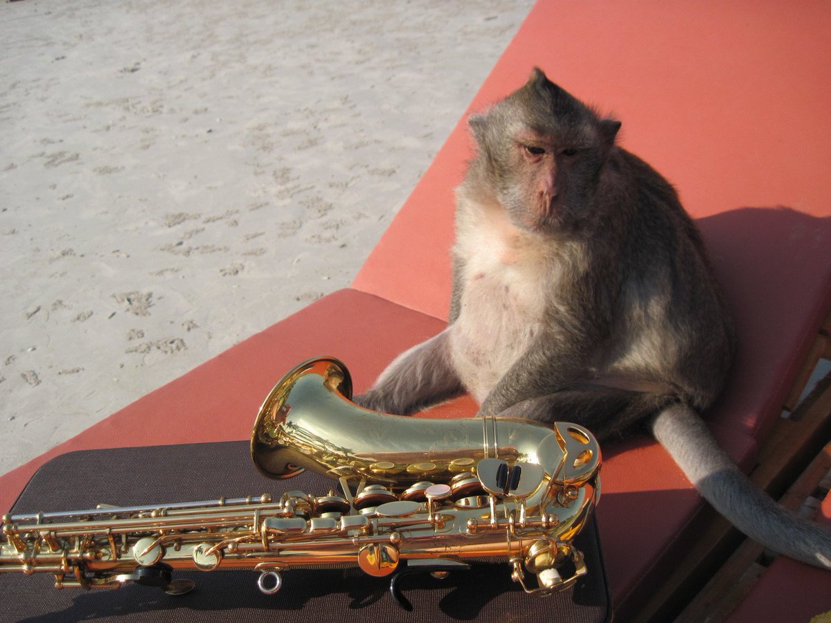 Hot Numbers Coffee Roasters tweet media