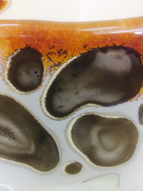things_quirky's tweet photo. Fused glass cow available on our website #r4today #fussedglass #EasterMonday #bankholidaymonday #HappyEaster #mondaymotivation #MondayBlogs https://t.co/XcBY6aiFS5