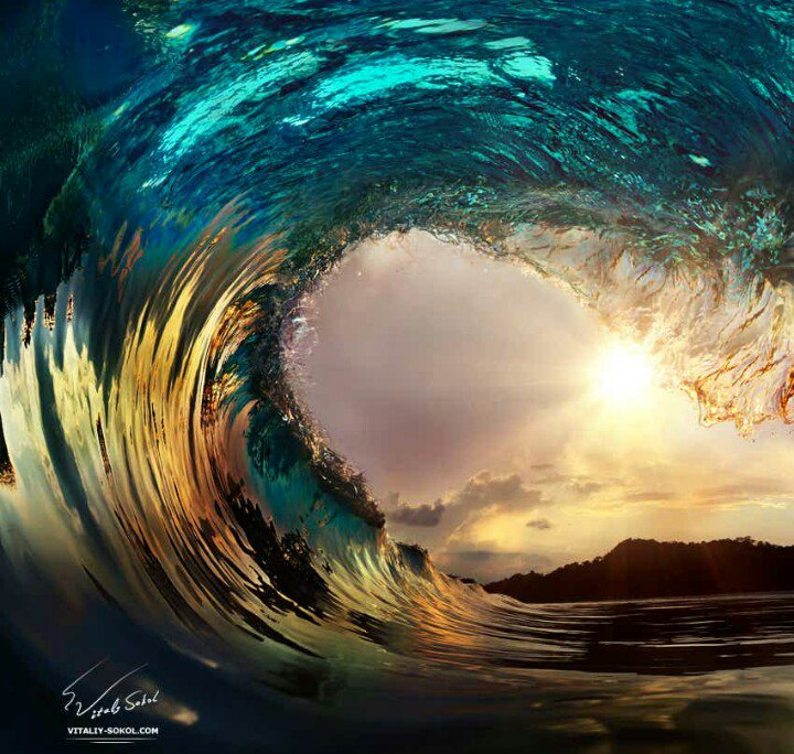 dct_ihjc's tweet photo. To live is to embrace passion at the instant of moment and to fulfill it now. https://t.co/FPFo4QnUnb