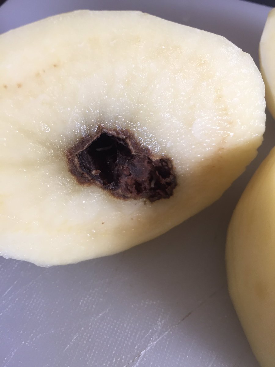 Natalie Porter tweet media