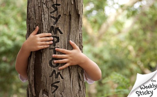 ATX_Chiro's tweet photo. "Seeing the forest for the trees" https://t.co/qJXenJwBDS #treehugger #forest #healthy #healing #wellness #innate #chiropractor #austin #atx https://t.co/SG10HoDoLQ