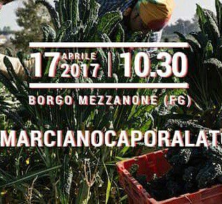 webstefano85's tweet photo. #nocaporalato #borgomezzanoneinmarcia https://t.co/KDp1rg0oOu