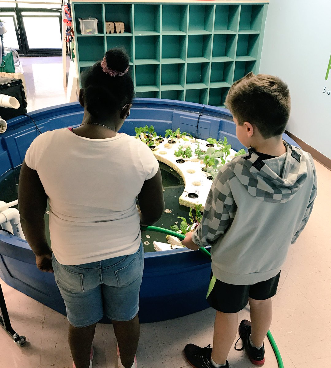 REESpbl's tweet photo. Thanks to Mrs. Harlan's friends for helping me with adding over 100 gallons of water to the system last week! @RiverEves https://t.co/ZVdtPWWJjA
