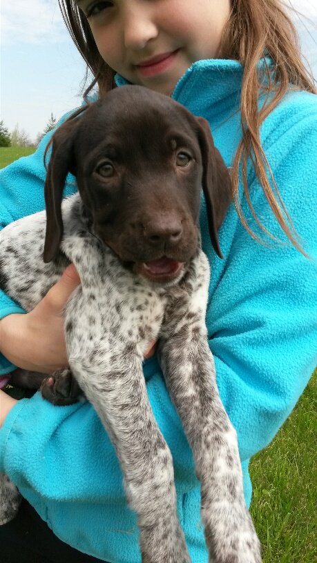 PeeblesCreative's tweet image. A little gift from us to you on a Monday. Look. At. That. FACE!! Welcome to the PCG canine family, Stella! #PCGPups