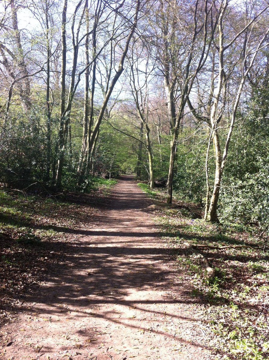 sarratthistory's tweet photo. Not many places where you can find prettier views than this! #Sarratt #AONB #Chilterns #easterexploring https://t.co/qfR1nrgf11