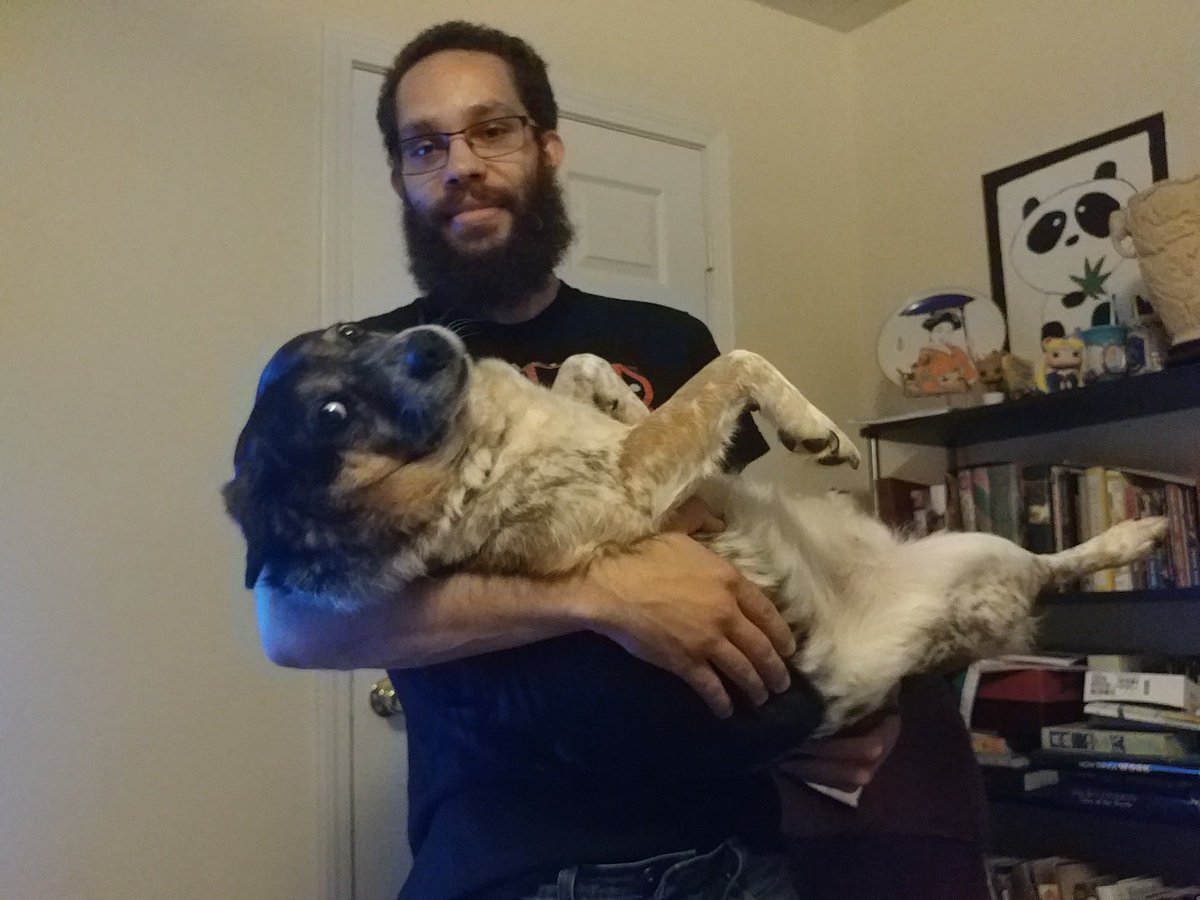 RagingCricket's tweet photo. Adopting Charlie from the  pound was the best choice. The next best choice is to feed him quality food. @BellaDogFood #Gotitfree https://t.co/WiNtSWgwi8