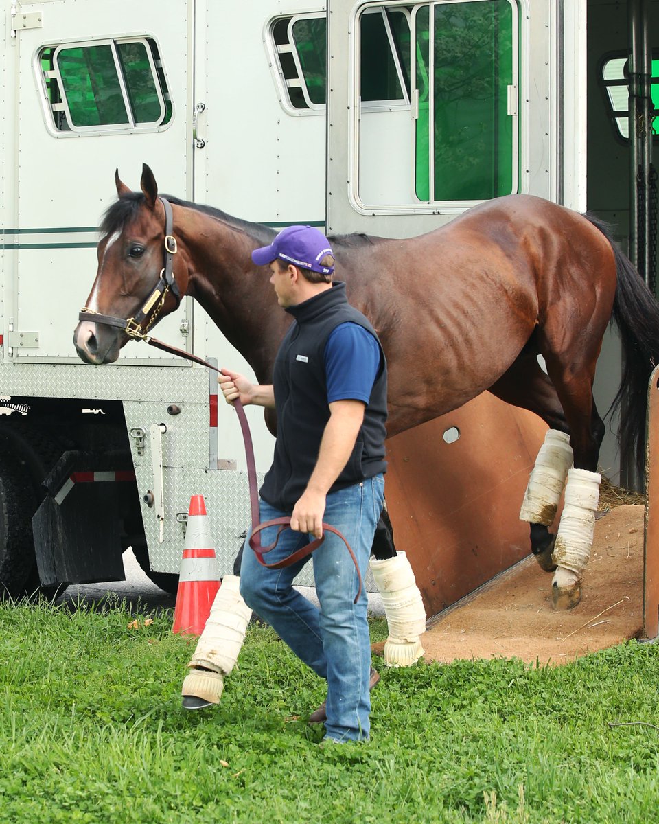BH_AEberhardt's tweet photo. G1 #ArkansasDerby #ClassicEmpire arrives @ChurchillDowns #TeamCasse as he preps for #KYDerby #Oxleys @MarkCasse @casseracingnc @CoadyPhoto https://t.co/mwaeSFypik