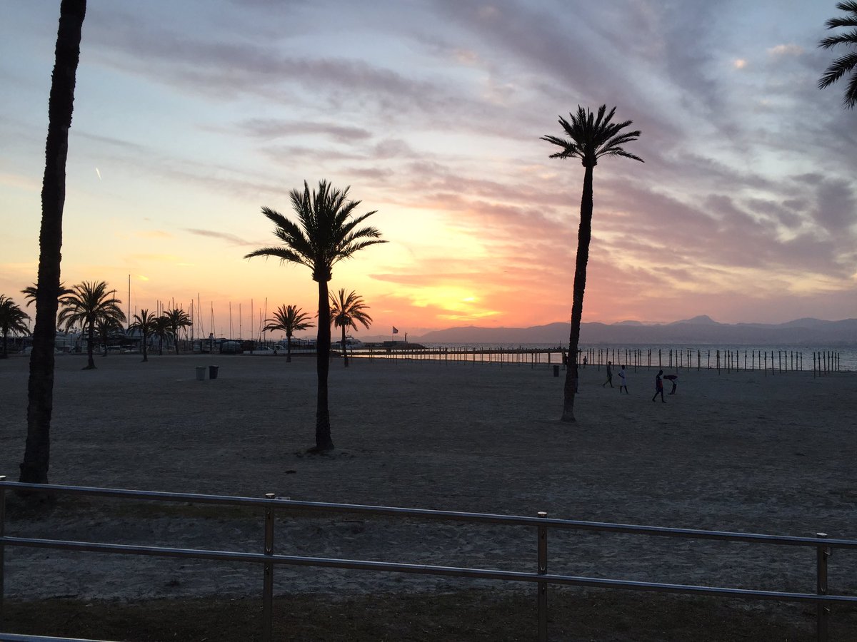 Out2Win Ryan & Sèafra tweet media